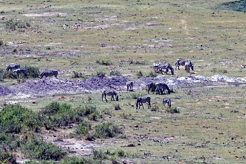 Kenia (228)